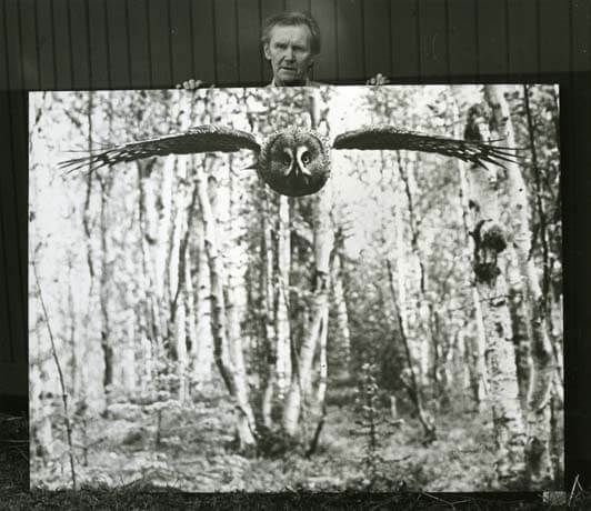 Fotografen Hilding Mickelsson håller upp en tavla med sin kända bild "Lappugglan anfaller".