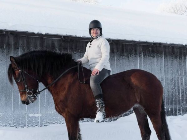 Vinterbild med kvinna på häst